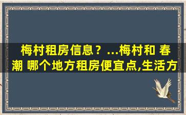 梅村租房信息？…梅村和 春潮 哪个地方租房便宜点,生活方便点,